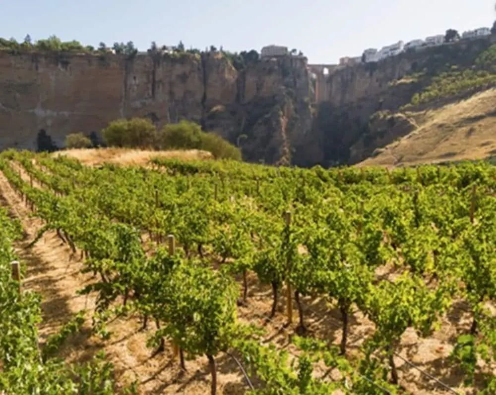 Hotel Ronda Valley